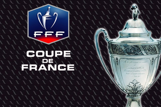 Coupe de France 2012-2013 Coppa-con-logo